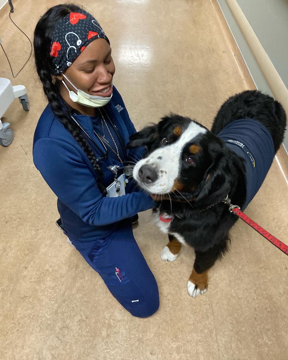 Dave Mishkin tweet media