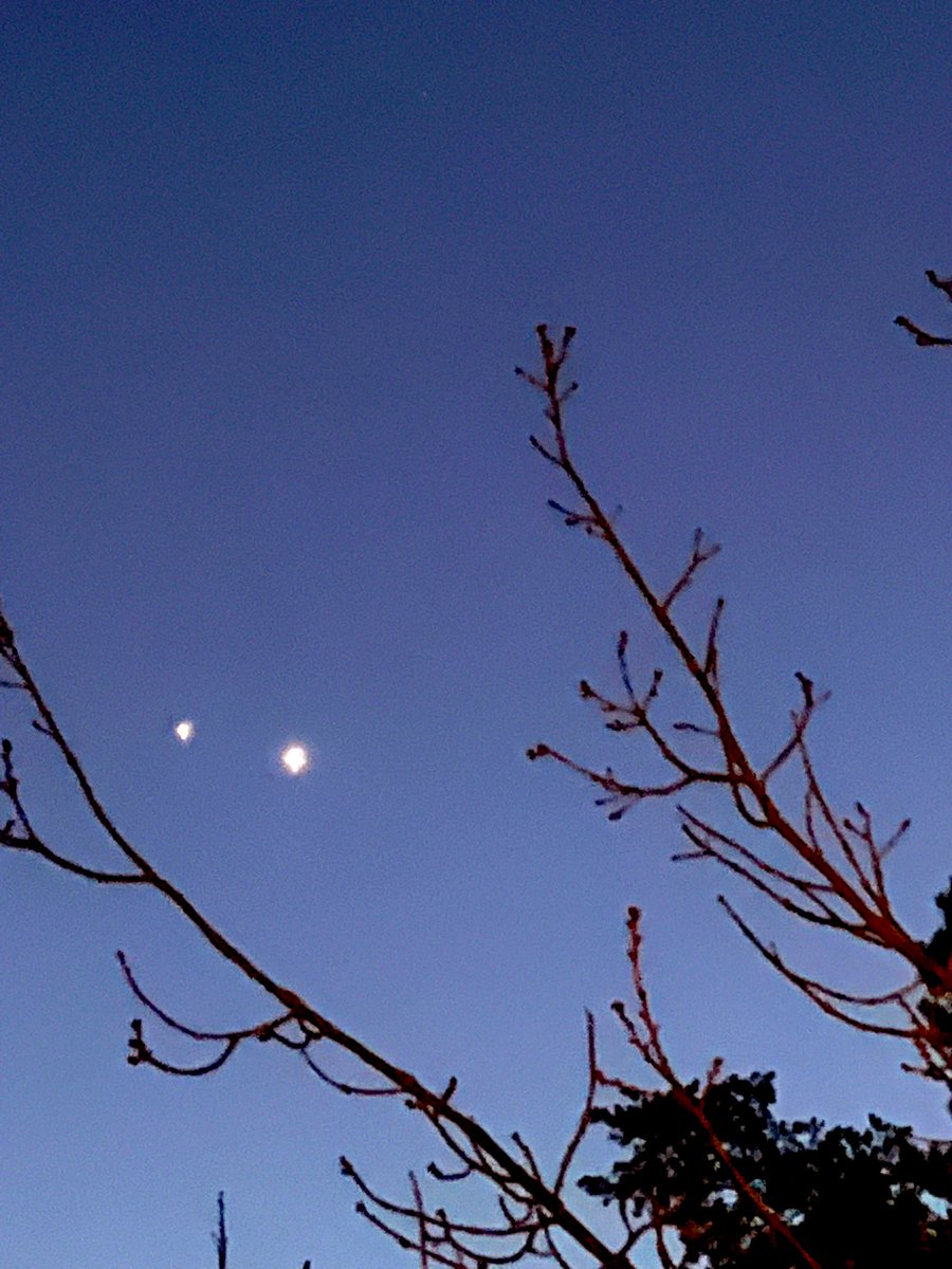 Did you see Jupiter and Venus hanging out last night (600 million kilometres apart)? If not, you should still be able to catch them tonight 🛸🔭