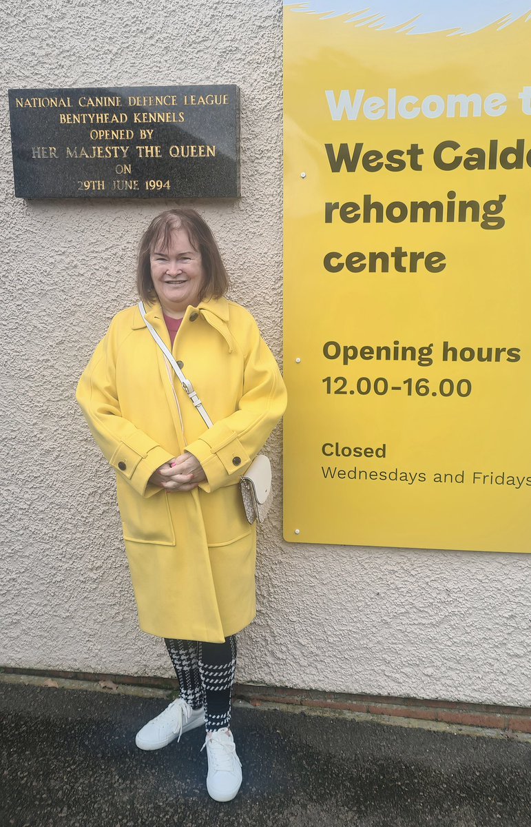 💛🏴󠁧󠁢󠁳󠁣󠁴󠁿 Well who else thinks the lovely Susan Boyle picked the perfect colour coat to visit our @dogstrust rehoming centre <a href="/DT_WestCalder/">DogsTrust West Calder (Edinburgh) and Dundee</a>?  📸 ⬇️

Check out some of the lovely pooches at the centre here  dogstrust.org.uk/rehoming/dogs?…  🐶 🐩 🐕