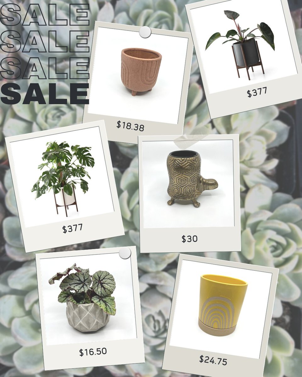 Articulture Designs tweet media