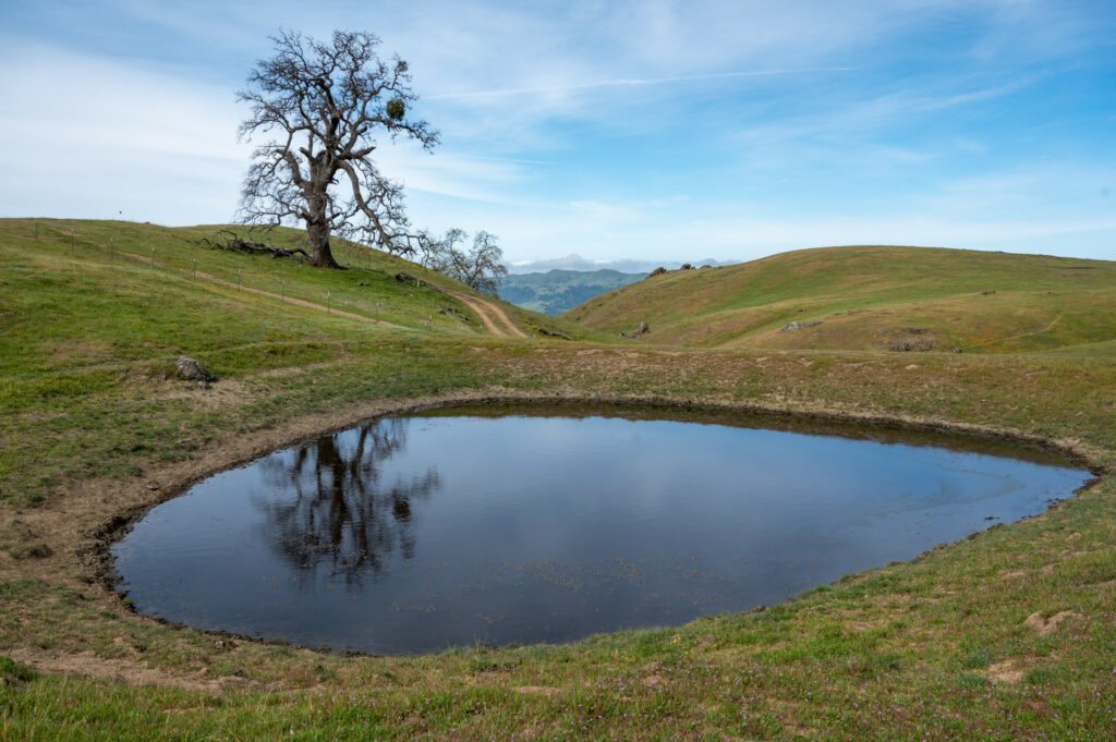 SaveMountDiablo's tweet photo. Mount Diablo is not alone; it is part of the vast and beautiful Diablo Range, home to many high peaks, some taller than Mount Diablo.
Right now, only 24 percent of the full range is protected.
https://t.co/Yf4ESLRQD1
๐ธ: Al Johnson and Scott Hein
#DiabloRange #MtDiablo https://t.co/qhr9AAJkbG