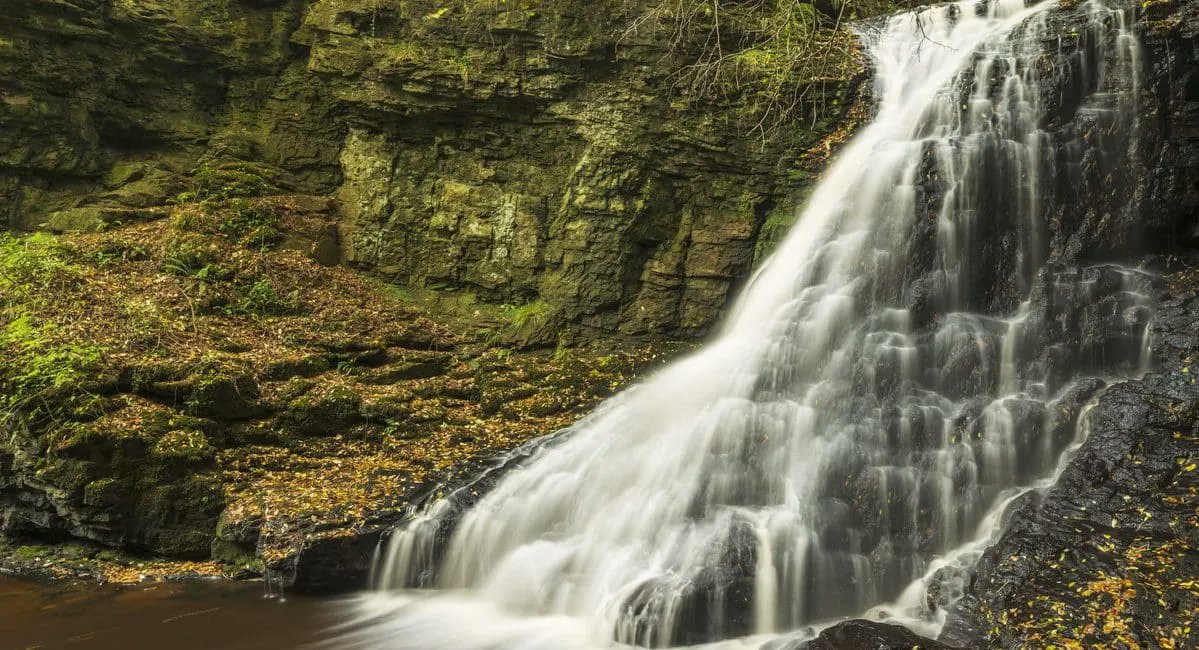 NlandNP's tweet photo. This week, we launched a new Management Plan for Northumberland National Park - to watch the Management Plan film and download your copy of the plan, visit our website:
https://t.co/Yn0EOEhBEo https://t.co/gsVnVuVG2e