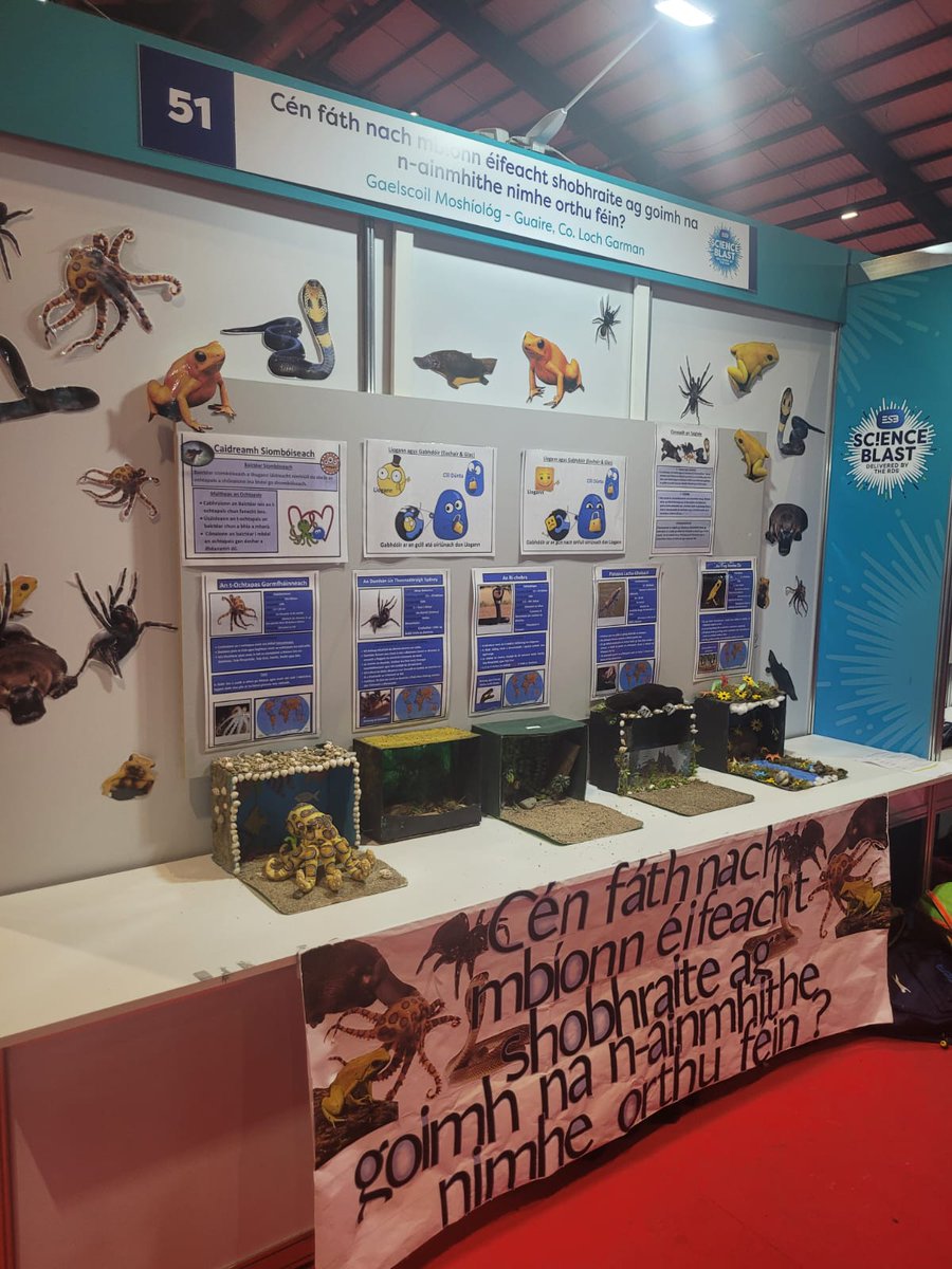 AFPatrunachta's tweet image. Ba mhór an onóir dúinn bheith ag @esbscienceblast do #LáMórGaeilge inniu agus tacú le tionscnaimh STEM fíorthábhachtach inár scoileanna 🧪🧫⚗️🔬 #ESBScienceBlast @CoggOid @SnaGaeilge #Gaelscoil4All #eolaíocht