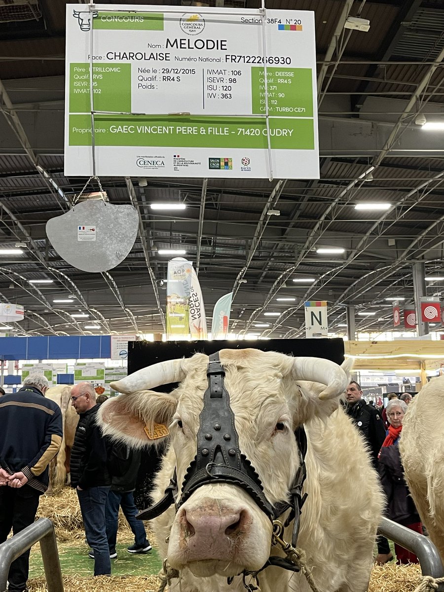 Nicolas Befort (@nicobefort) on Twitter photo Si comme Mélodie, vous vous intéressez à la transformation soutenable de l’agriculture, retrouvez-moi ce soir dans le JT de <a href="/France3CA/">France 3 Champagne-Ardenne</a> depuis le <a href="/Salondelagri/">Salon International de l'Agriculture</a> Si comme Mélodie, vous vous intéressez à la transformation soutenable de l’agriculture, retrouvez-moi ce soir dans le JT de <a href="/France3CA/">France 3 Champagne-Ardenne</a> depuis le <a href="/Salondelagri/">Salon International de l'Agriculture</a>