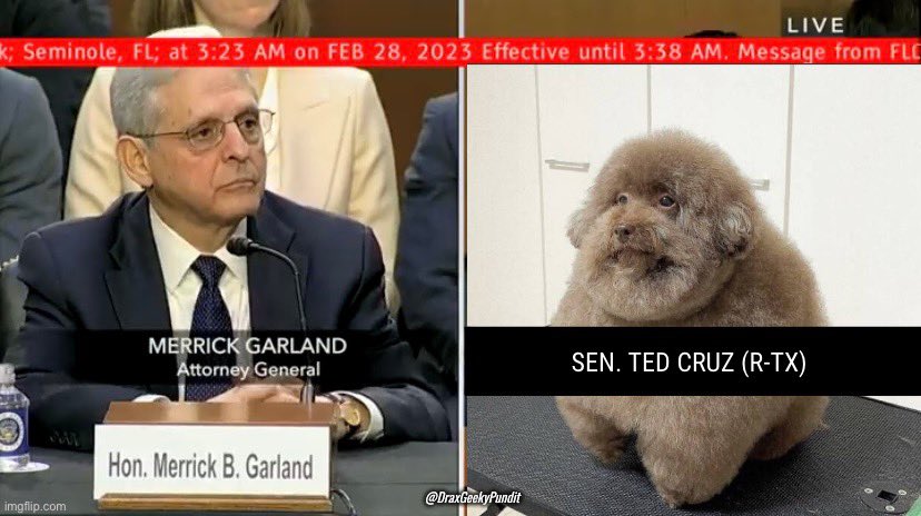 DraxGeekyPundit's tweet photo. @cwebbonline @Spawn_03 Ted Cruz is always out of his league.
#TedCruzIsUseless https://t.co/VKdLlVaExm