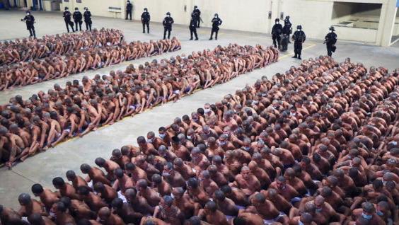 Gonzalo Guillén tweet media