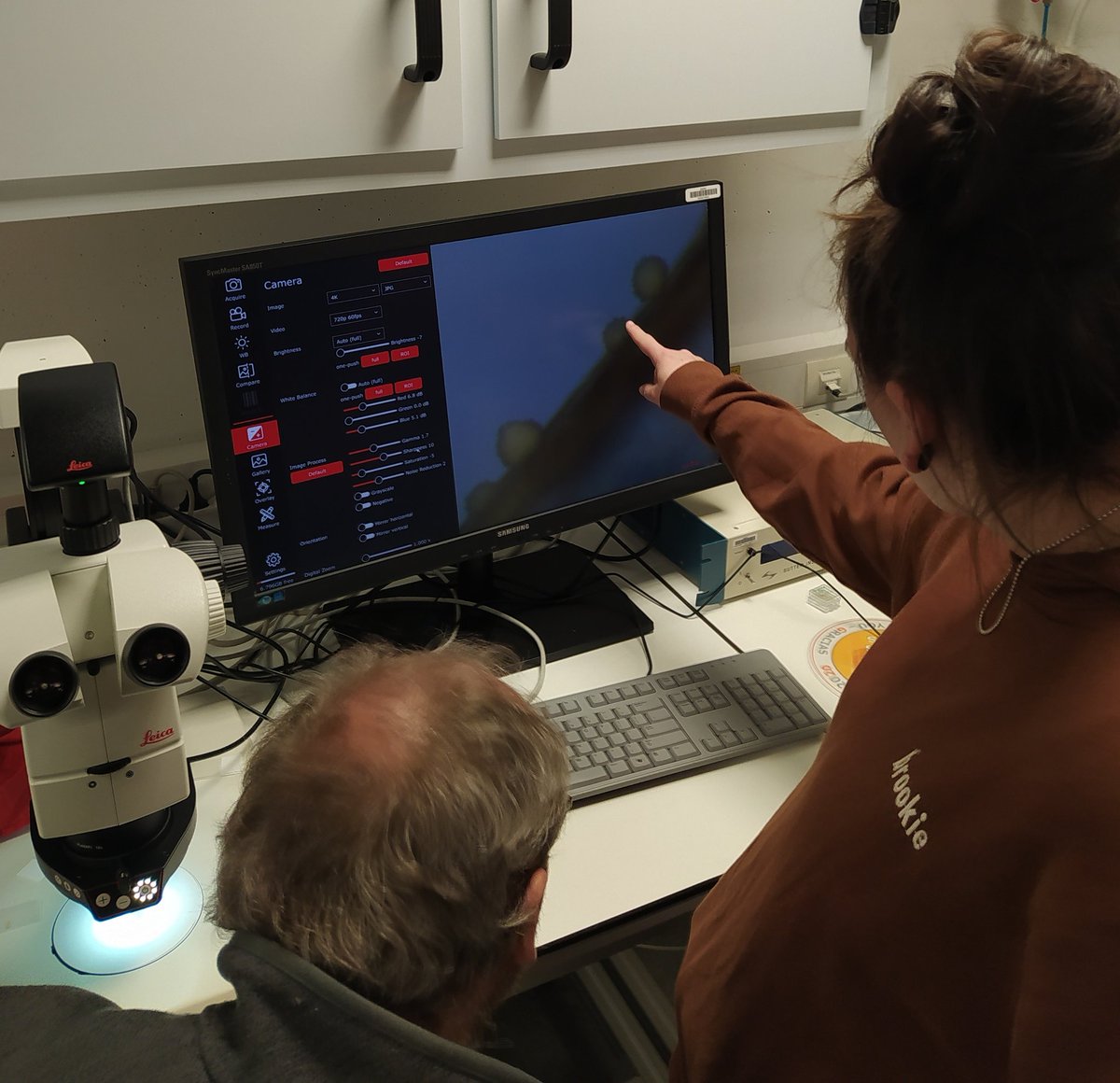 MicroBioMin's tweet photo. We are at ID16B @esrfsynchrotron X-ray measuring metal accumulation in micron-sized bacterial trees 🦠 🌴 Interesting results to come! https://t.co/BpBx4VRJZ6