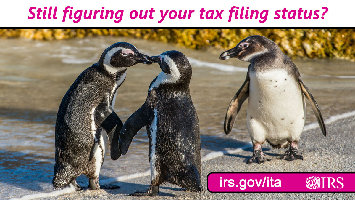 When you file taxes you need to know your irs filing status let irs