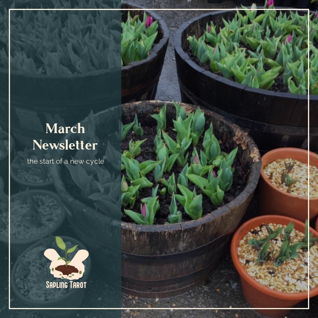 inmingen's tweet photo. Oops! Once more with feeling (and working links)! Sapling Tarot Newsletter - March ‘23 🌱 - https://t.co/m4S2A7iSpn https://t.co/zPioTk3Wmz