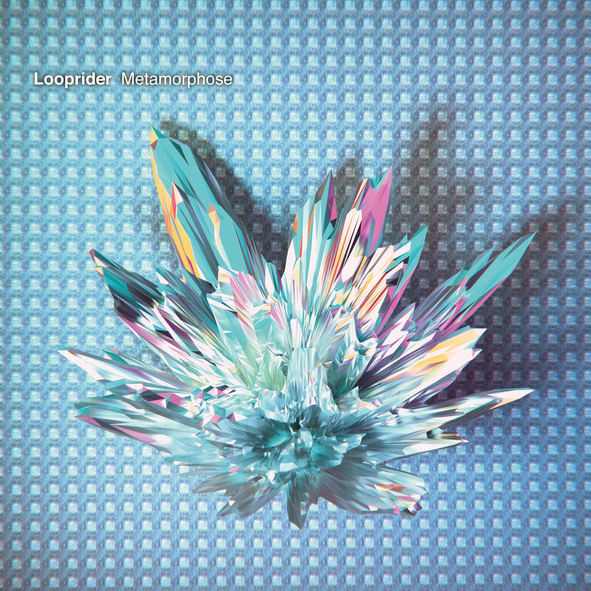 Looprider tweet media