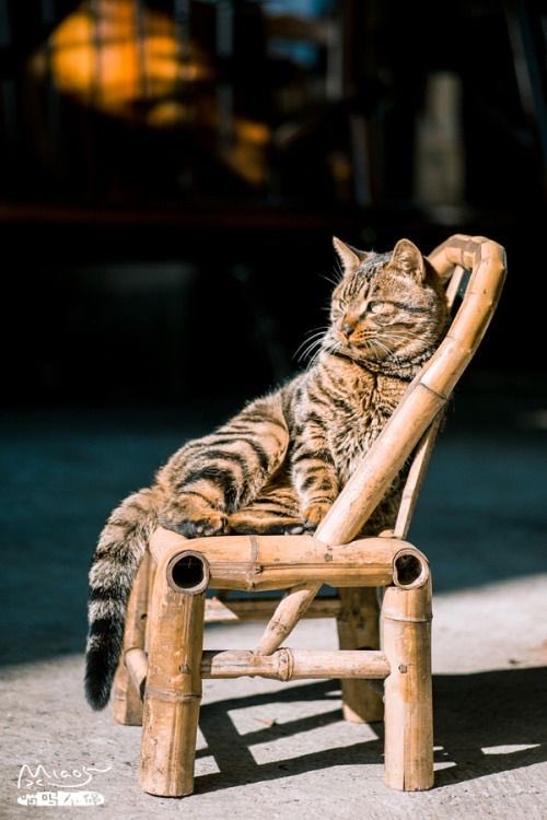 dongfangnayan's tweet image. 道学先生
慷慨的赠予别人
很多高尚的言辞
自己却毫无保留
我听着看着
不禁想问
你们都不照镜子的吗？