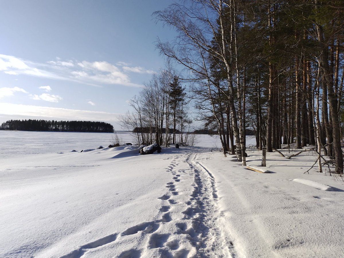 Katri Ristola tweet media