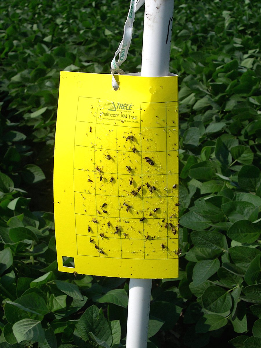 Joseph Lee Spencer tweet media