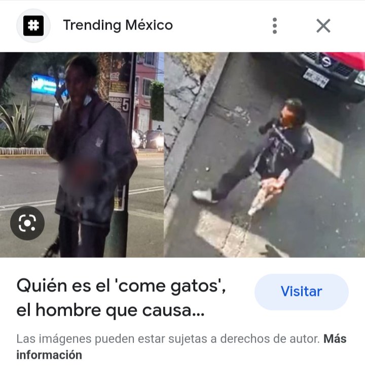 ALEALEJANDRO tweet media