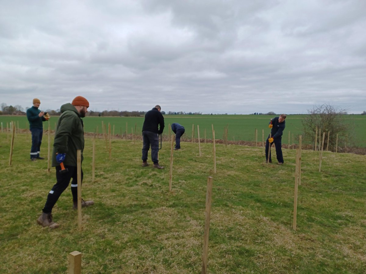 TCVHumber's tweet photo. Completed our last day at Holderness aggregates with 6 volunteers from #gassco. The past 4 days we have had 26 volunteers get involved, it's great what you can achieve with plenty of hands. This project was funded and supported by @HumberForest #joininfeelgood https://t.co/r2n6BaiQ1D