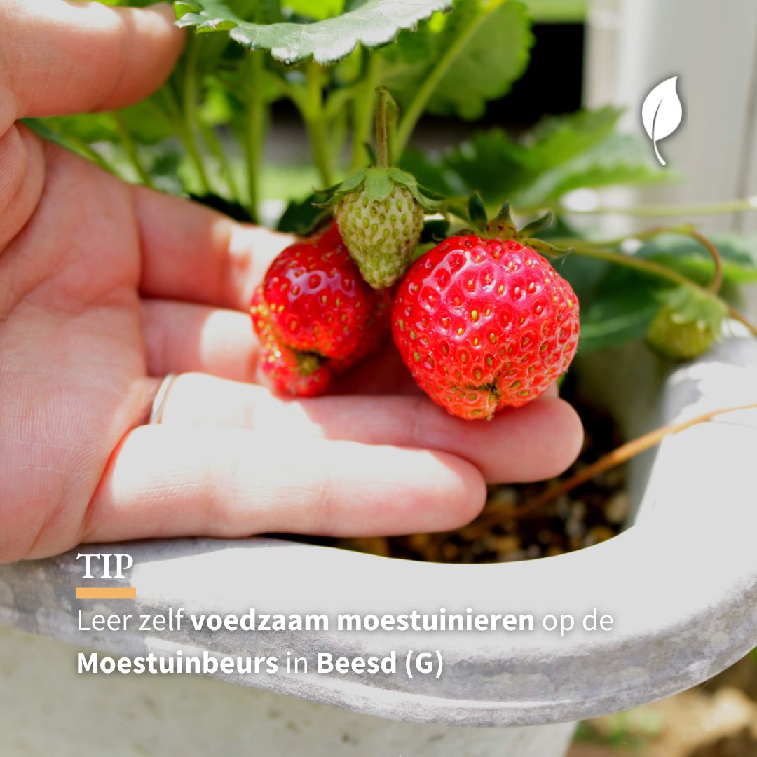 📆 Op vrijdag 17 en zaterdag 18 maart 2023 vindt op het prachtige Landgoed Heerlijkheid Mariënwaerdt in Beesd een moestuinbeurs plaats, mét aandacht voor voeding. Leren hoe jij zelfvoorzienend wordt? Meer informatie en ticketverkoop vind je hier: demoestuinbeurs.nl/programma/