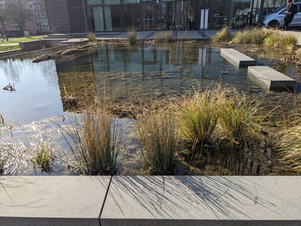 mathcitymap's tweet image. Zum #TagderMathematik werden wir eine #MathCityMap Lehrkräftefortbildung an der @FrankfurtSchool organisieren. Heute haben @timlaeufer und Simone das Wetter ausgenutzt um nach Aufgaben zu suchen. Wir freuen uns auf zahlreiche Teilnehmer 🥳🙌🏼
#iteachmath #twlz #frankfurt