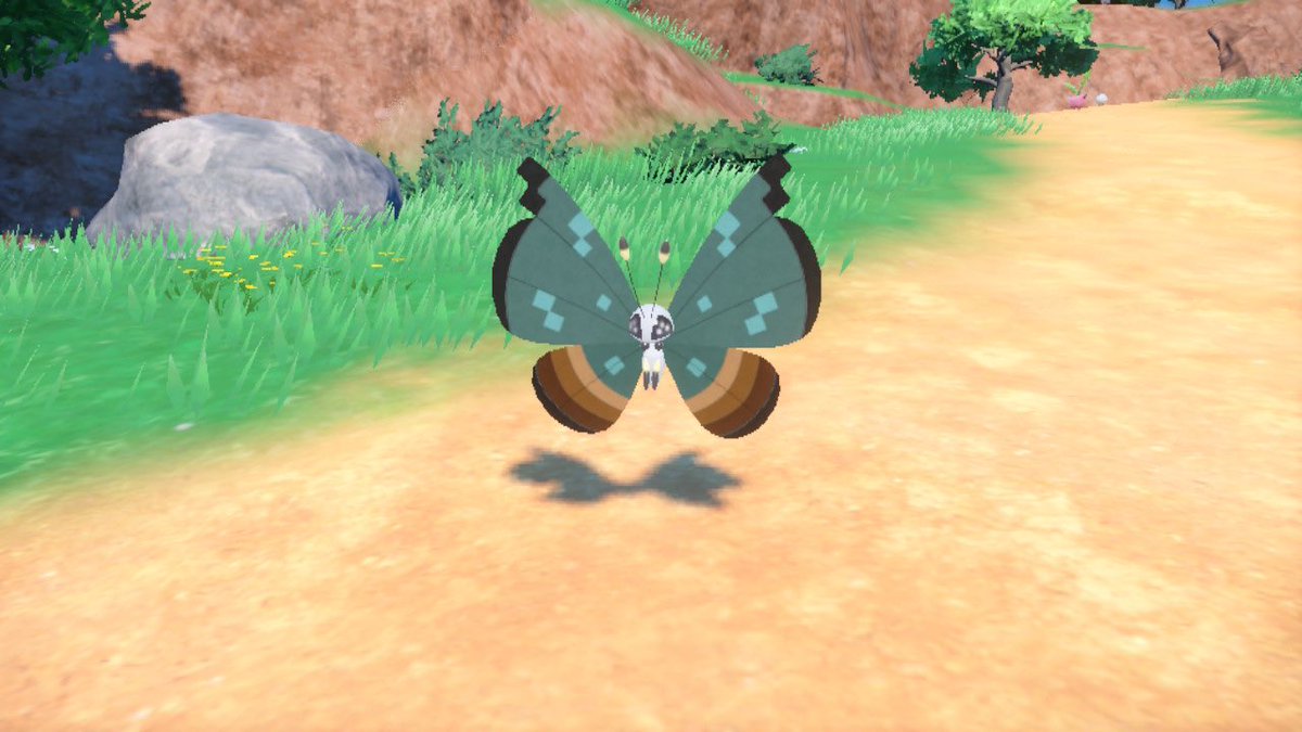 Strixite's tweet photo. A random Shiny Scatterbug literally found after sending a Postcard over from PoGO to Pokemon Violet! Evolved it into a Jungle Pattern Vivillon straight away! 😄
✨🦋
#Pokemon #PokemonGO #NintendoSwitch #ShinyPokemon #Shiny #Scatterbug #Vivillon #RandomShiny https://t.co/FvrlOXRmpg