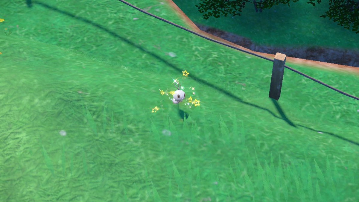 Strixite's tweet photo. A random Shiny Scatterbug literally found after sending a Postcard over from PoGO to Pokemon Violet! Evolved it into a Jungle Pattern Vivillon straight away! 😄
✨🦋
#Pokemon #PokemonGO #NintendoSwitch #ShinyPokemon #Shiny #Scatterbug #Vivillon #RandomShiny https://t.co/FvrlOXRmpg