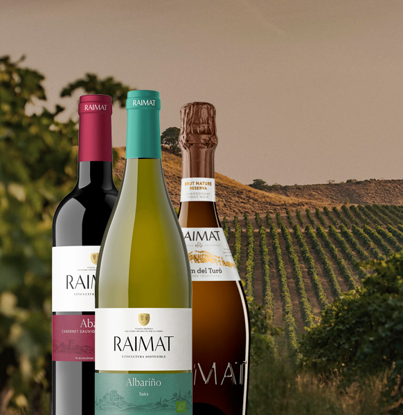 Raimat. Geschichte, Tradition und Spitzenqualität.

👉decantalo.com/de/de/wein/q/b…

📍Wir laden Sie ein, die Weine und Schaumweine von Raimat zu probieren, die ein ideales Gleichgewicht zwischen Charakter und Eleganz aufweisen. Lassen Sie sich diese Weine nicht entgehen!

<a href="/RaimatVinos/">Raimat</a>