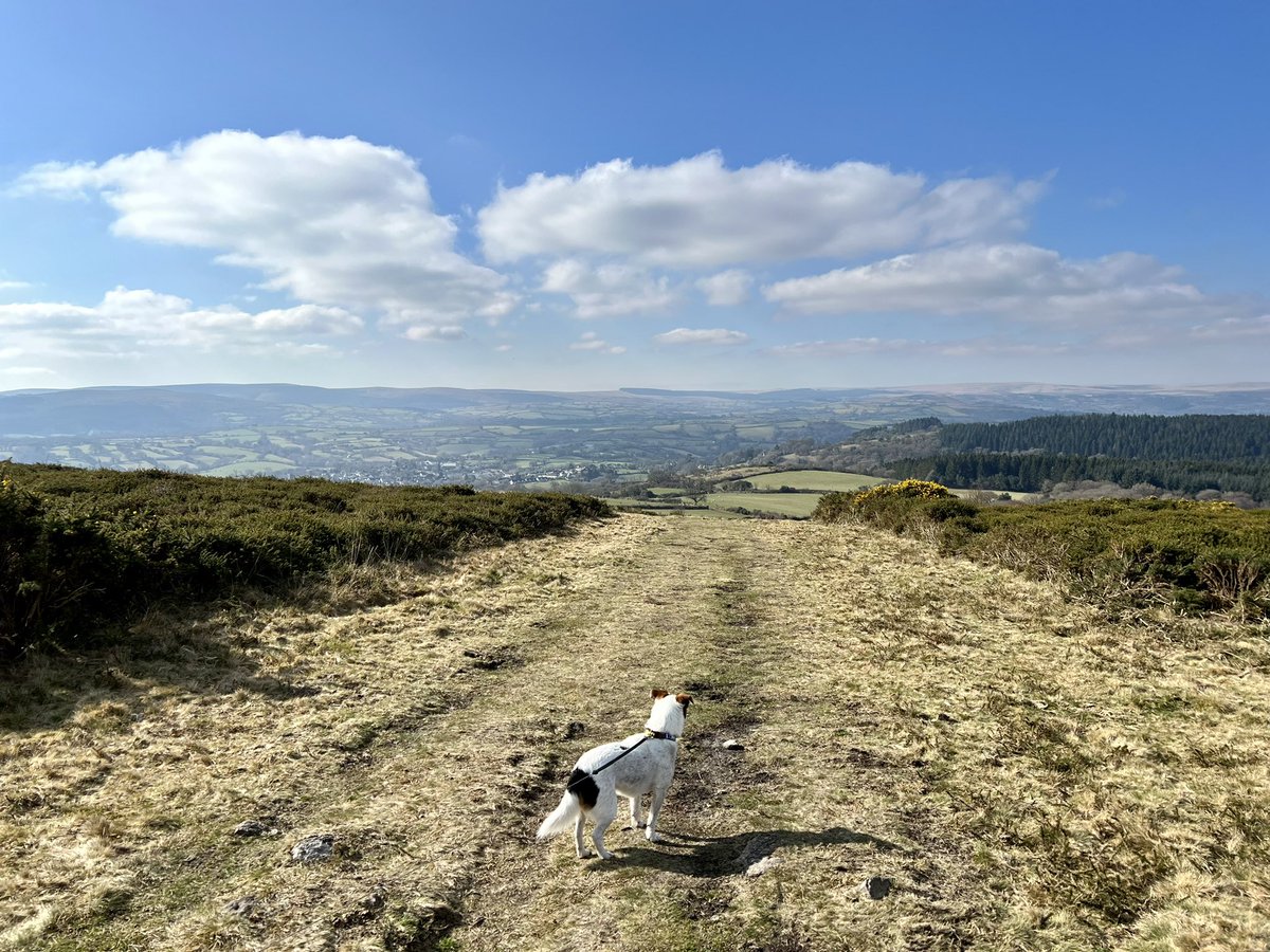 It’s a glorious Spring-like day here on Dartmoor. Time to do some exploring of our Dartmoor National Park, starting and returning on foot from The White Hart Hotel. We are so blessed to be surrounded by such wonderful scenery.
For Reservations please call 01647 440500.