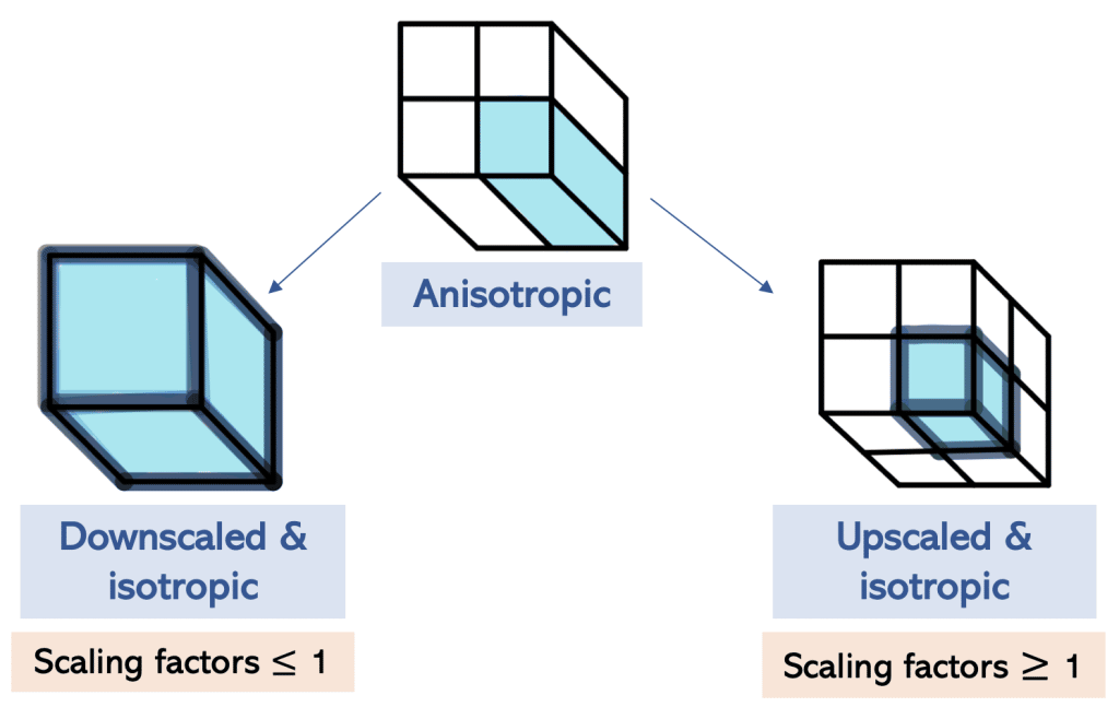 Mara Lampert tweet media