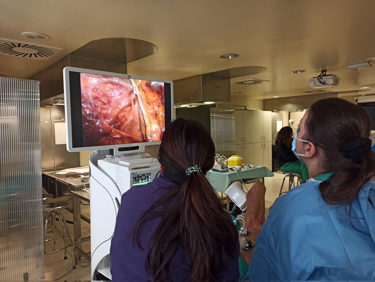 UCP Hospital Clínico Valencia (@clinicoucp) on Twitter photo International Workshop of Colorrectal Laparoscopic Surgery
Wet lab practical sessions
<a href="/incliva_iis/">INCLIVA</a> <a href="/medicina_uv/">Fac. Medicina UV</a> <a href="/StephGaBotello/">Stephanie Garcia-Botello</a> <a href="/VicentePlaMarti/">Vicente Pla Marti</a> <a href="/davidmoro78/">David Moro-Valdezate</a> <a href="/LPerezSantiago/">Leticia</a> <a href="/GVAsanitat/">GVA Sanitat</a> <a href="/ana_aim92/">Ana Izquierdo Morenoy</a> International Workshop of Colorrectal Laparoscopic Surgery
Wet lab practical sessions
<a href="/incliva_iis/">INCLIVA</a> <a href="/medicina_uv/">Fac. Medicina UV</a> <a href="/StephGaBotello/">Stephanie Garcia-Botello</a> <a href="/VicentePlaMarti/">Vicente Pla Marti</a> <a href="/davidmoro78/">David Moro-Valdezate</a> <a href="/LPerezSantiago/">Leticia</a> <a href="/GVAsanitat/">GVA Sanitat</a> <a href="/ana_aim92/">Ana Izquierdo Morenoy</a>