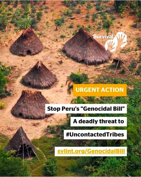EcoatRisk's tweet photo. Urgent action is needed to support Peru’s Uncontacted Tribes: https://t.co/mZSRP0408W 
The Peruvian Congress is debating a bill that can open tribal territories to oil and gas drilling, logging and mining and more! To support, visit @Survival: https://t.co/ALth4dFTMl https://t.co/Kj1QQioyBP