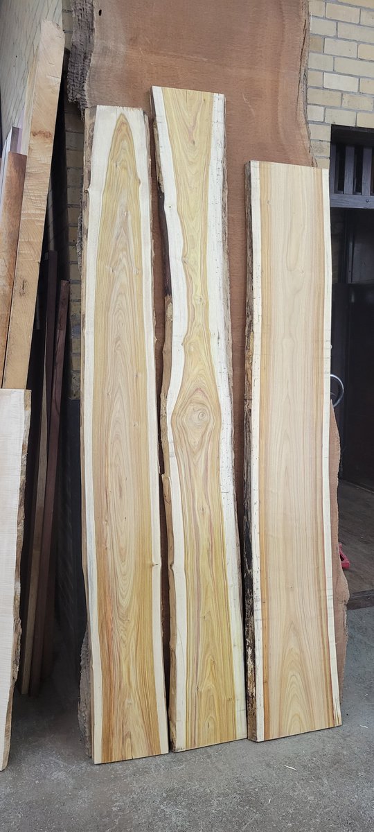 BellForestProd's tweet photo. Do you like Live Edge Canarywood boards? We do too! 
These 5/4 boards range from 10" to 15" wide and are 72" to 84" long. At $21bd/ft, these won't last long! 
For more information, give us a call at 877.770.9663 or email josh@bellforestproducts.com https://t.co/X4XnvbftzG