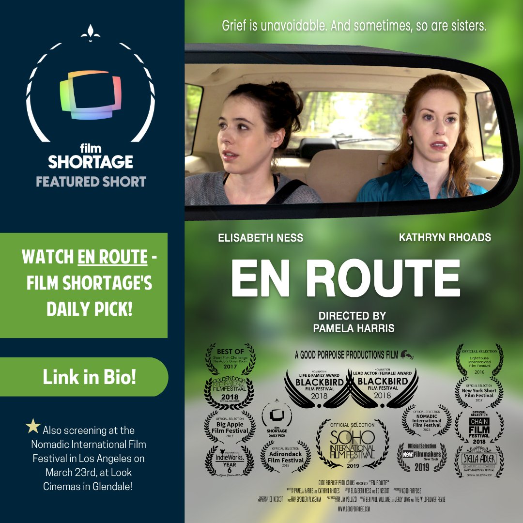 Good Porpoise tweet media