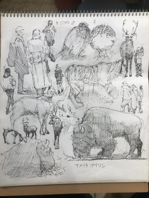 上野動物園で1日スケッチ
服のバリエーションが無かったから今日で大分増えたと思う👌
エゾシカ格好よすぎだわ、あとアメリカバイソンも✌️🤪✌️ 