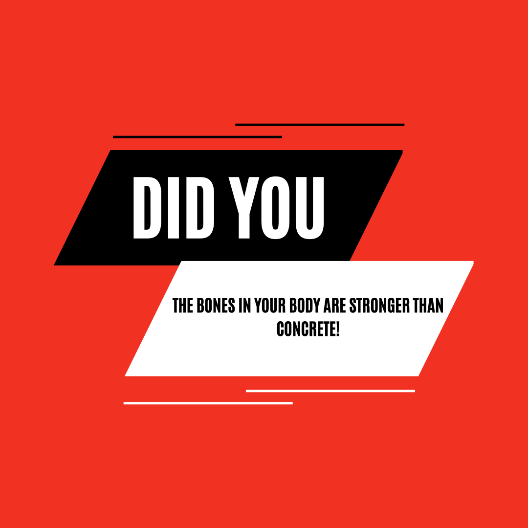 Vevookids's tweet image. Fun facts for kids!

#FunFactsForKids #KidFriendlyFacts
#InterestingFactsForChildren