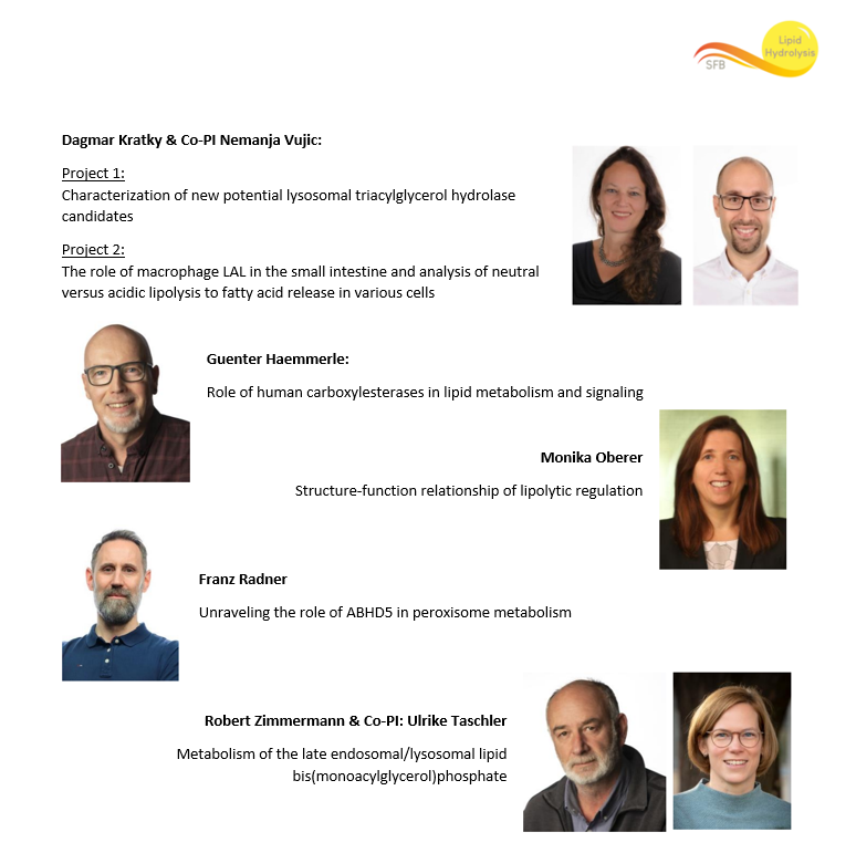 The call for PhD positions within the <a href="/SFB_LipidHyd/">SFB Lipid Hydrolysis</a> is open! Interested students are invited to apply at phd-recruiting.medunigraz.at 
Application deadline: March 29, 2023