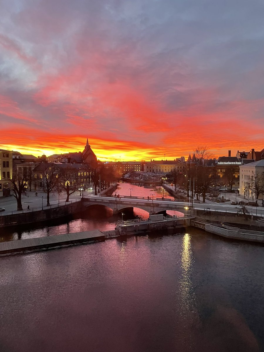 Jimmy Engström #Blazor 🦝 tweet media