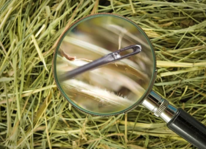 AdvaitaBio's tweet photo. Need help analyzing your multi-omics data? - https://t.co/mDkVJCEdHp https://t.co/we3Zw40Vjt