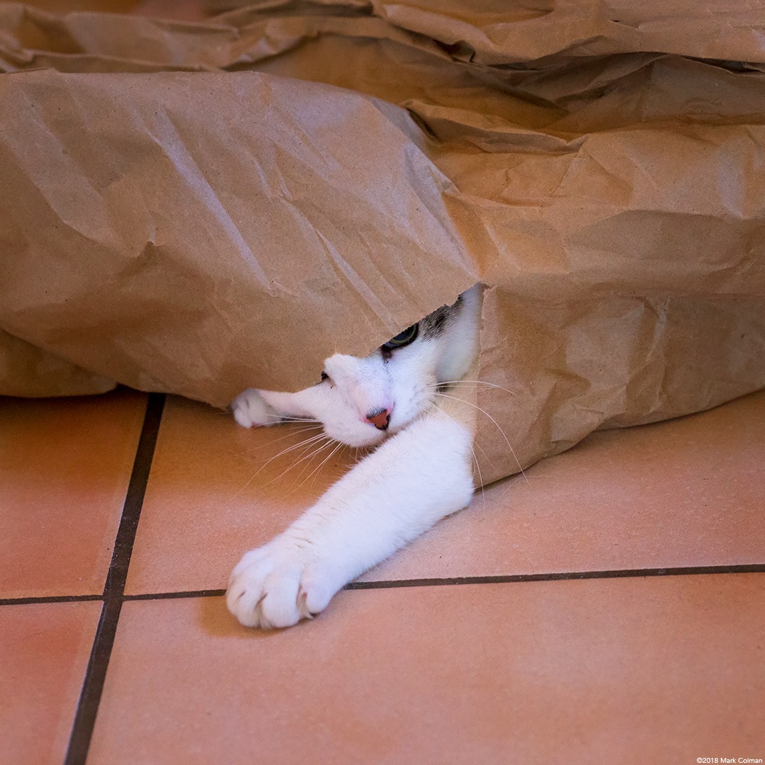 Kram's tweet image. Break on through!