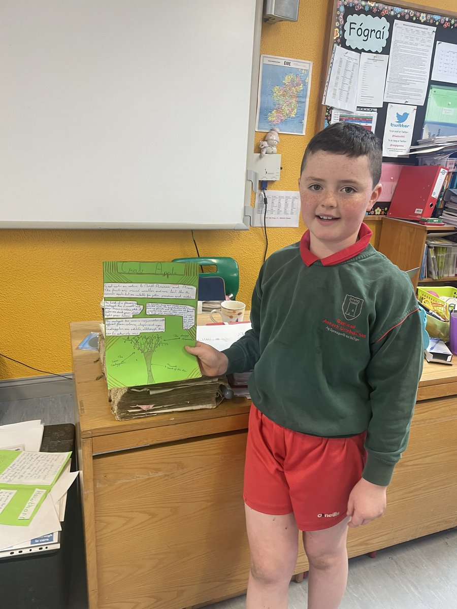 RangEoin's tweet photo. Bhíomar ag déanamh tionscnamh  faoi na crainn difriúla a fhásann in Éirinn agus d’fhoghlaimíomar a lán rúdaí suimiúla.. 
Maith sibh 🌳@GaelscoilAU https://t.co/BginnYibFU