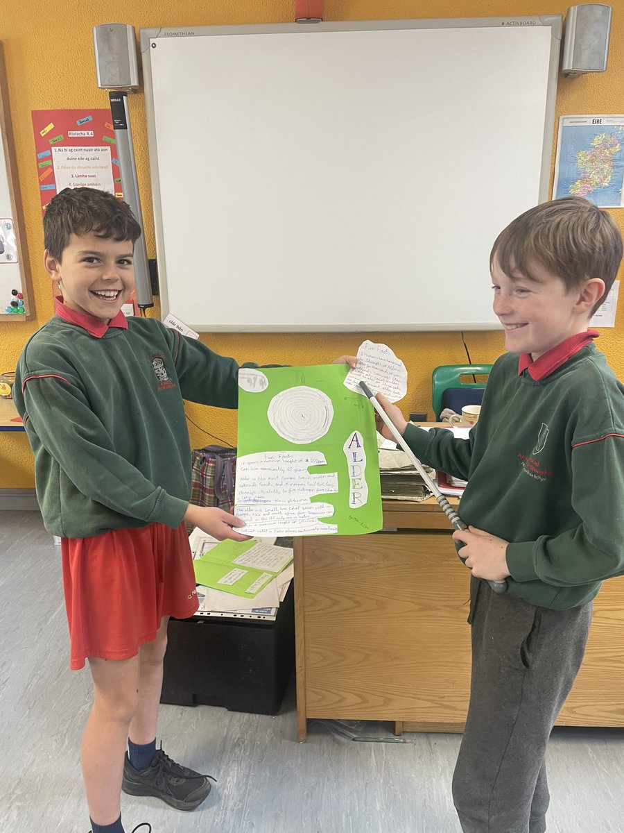 RangEoin's tweet photo. Bhíomar ag déanamh tionscnamh  faoi na crainn difriúla a fhásann in Éirinn agus d’fhoghlaimíomar a lán rúdaí suimiúla.. 
Maith sibh 🌳@GaelscoilAU https://t.co/BginnYibFU