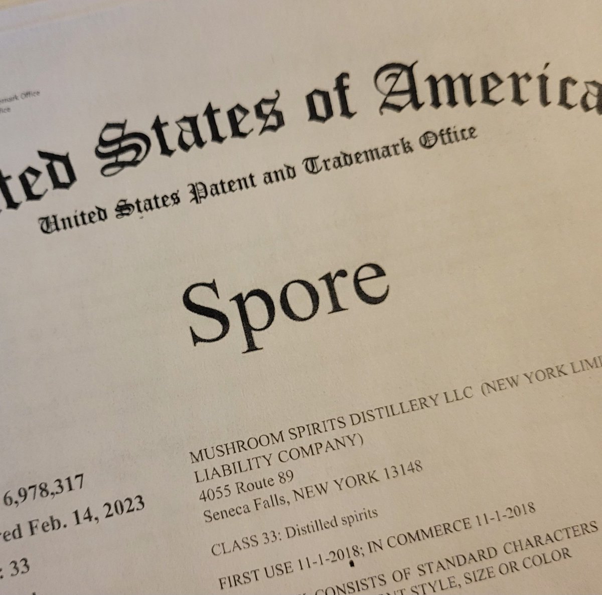 MushroomSpirits's tweet photo. You now have to ask permission to say the word "Spore" 😉 #mushrooms #sporetospirit #spore #mushroomspirits #ithaca https://t.co/7DGozcv21I