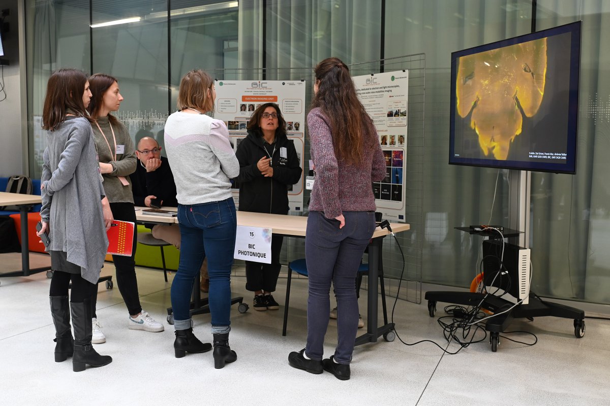 Neuro_Bordeaux's tweet photo. Première édition de notre Journée des plateformes : présentations orales et stands pour mieux faire connaître nos services à notre communauté et au-delà. 
En savoir plus : https://t.co/QvOH7tNxZ5 https://t.co/1R5Zjt8eyg