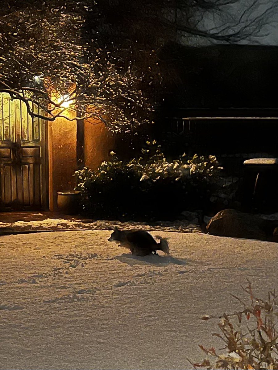 my mom just sent me this