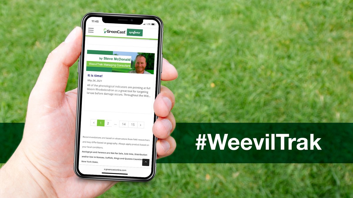 In our latest #WeevilTrak blog post <a href="/TurfgrassDS/">SMcDonald</a> discusses: 

-The impact of a warm winter
-Why we start counting GDDs on March 1
-What early #ABW adults mean for larvae timing
-And more

Sign up for WeevilTrak to read the full article: ow.ly/6nCo50N76hp