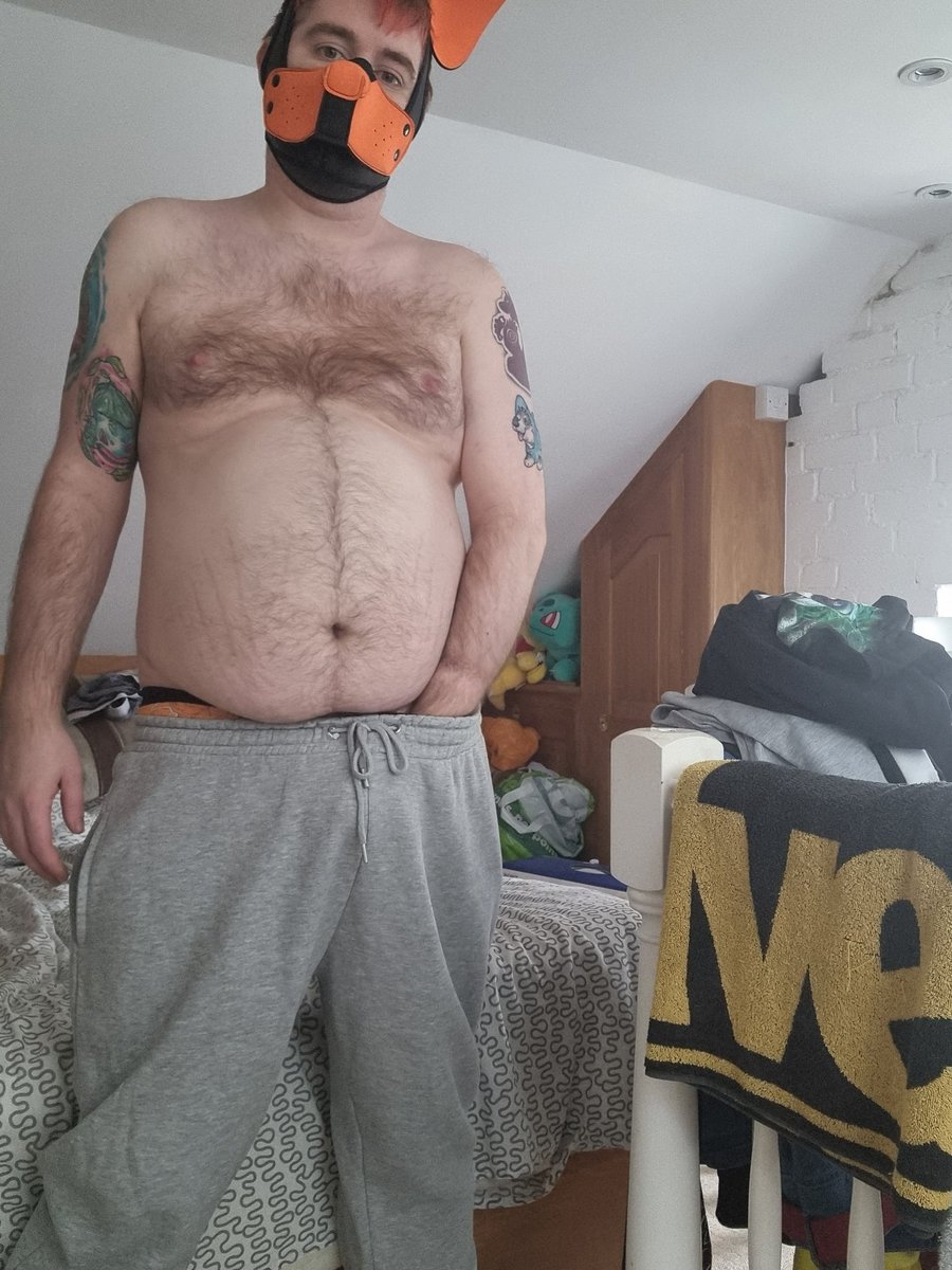 Midnightpup4's tweet photo. Why not jump on the bandwagon haha https://t.co/jcswGADWvU