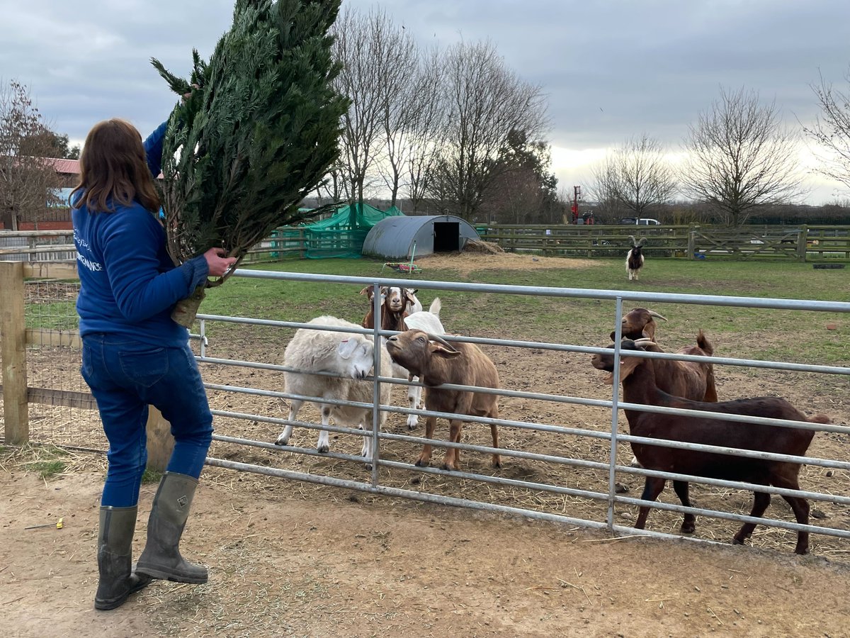 Beards & Daisies tweet media
