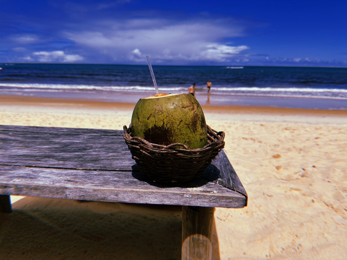 TheAaronWolf's tweet image. The beauty of Brazil.  My coco.  
#brazil #trancoso #coconuts