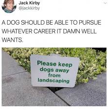 PlantNYS's tweet photo. Happy Friday! #FunnyFriday #landscapedesign #landscape #hireaprofessional #gogreen #plants #plantsmakepeoplehappy #plantsplantsplants #gardendesign #garden #beautifyyourhome #landscapearchitecture #landscapesolutions #planthealthcare https://t.co/6eEmDD9tpK