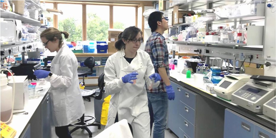 Roychoudhuri Lab (@roychoudhurilab) on Twitter photo We’re hiring! We’re seek a post-doc to break new ground in the fields of T cell biology, immune regulation and immunosuppression in #inflammation and #cancer. You will join a friendly and dynamic team @roychoudhurilab @CamPathology <a href="/CRUKCambridge/">CRUKCambridge</a>. Details: https:/bit.ly/3ZD2lmR We’re hiring! We’re seek a post-doc to break new ground in the fields of T cell biology, immune regulation and immunosuppression in #inflammation and #cancer. You will join a friendly and dynamic team @roychoudhurilab @CamPathology <a href="/CRUKCambridge/">CRUKCambridge</a>. Details: https:/bit.ly/3ZD2lmR