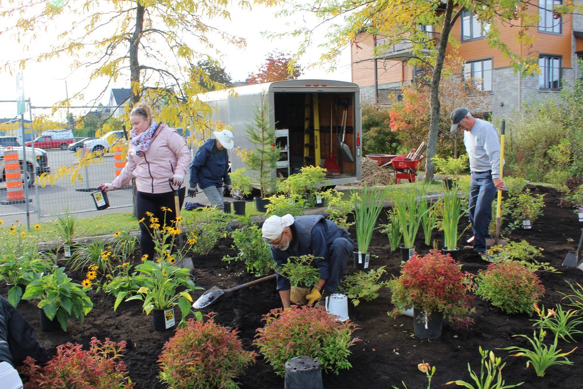 🤩 Le CEUM vous propose de replonger dans son top 4 des plus belles photos des activités de dépavage et de verdissement réalisées l'automne dernier!

👏 Bravo à <a href="/OBV_CM/">OBV Charlevoix - Montmorency</a>, <a href="/CRE04/">Environnement Mauricie</a>, <a href="/CRE_C_A/">CRECA</a>, <a href="/CREMonteregie/">CRE Montérégie</a> et à l'ensemble des bénévoles pour leur engagement.