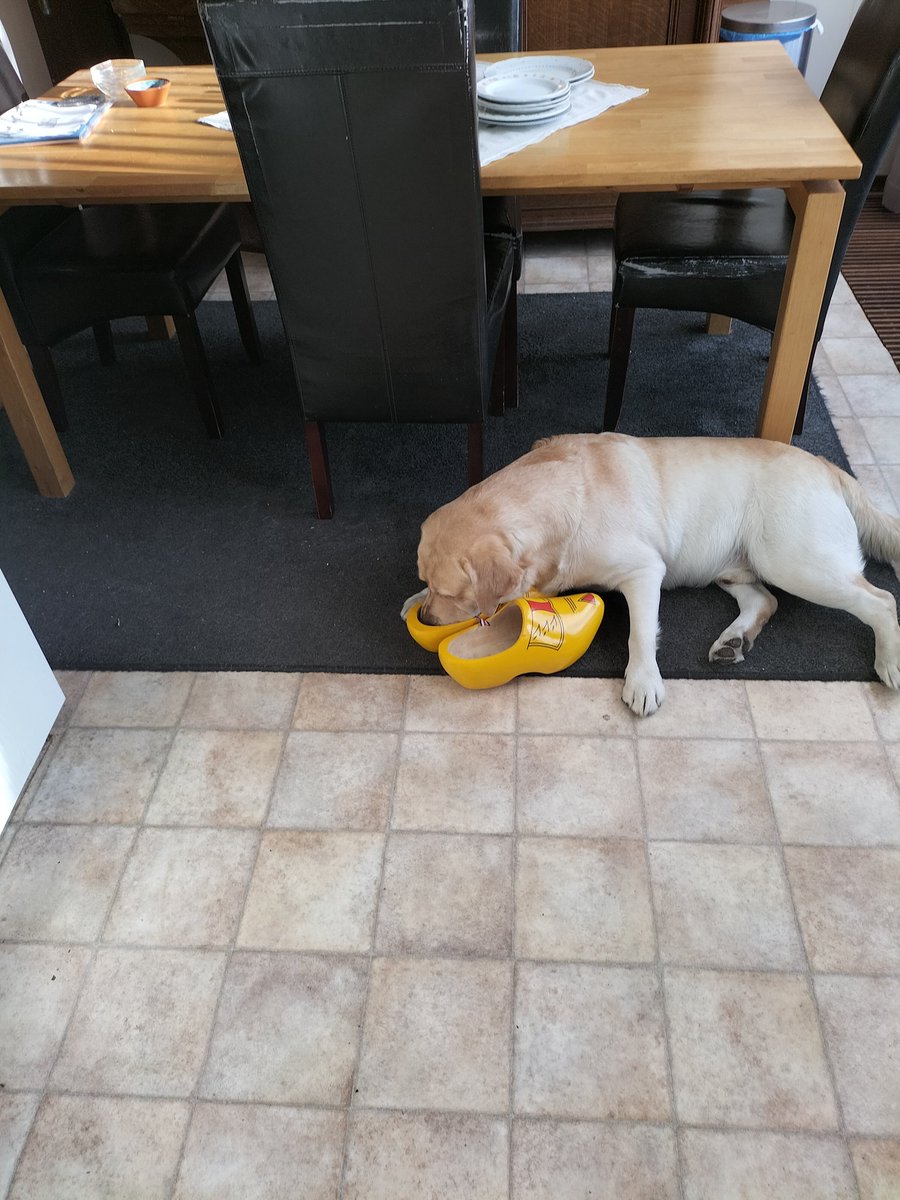 hwtec's tweet image. Wat doe je met Nederlands erfgoed #bbb#heemstede