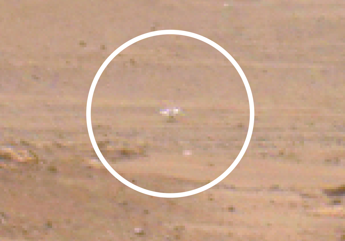 NASAPersevere's tweet photo. Working my way uphill, I recently spotted the #MarsHelicopter again, up ahead. Can you believe it’s flown over 6 miles (10 km), in 46 flights? Not bad for a test vehicle that was shooting for one successful hover to start with! 🤯

Ingenuity’s flight log: https://t.co/bAjOVo6Gbf https://t.co/sVWpQyraZZ